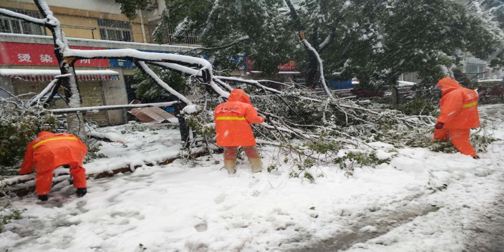新站區(qū)道路清掃保潔、綠化管養(yǎng)項目